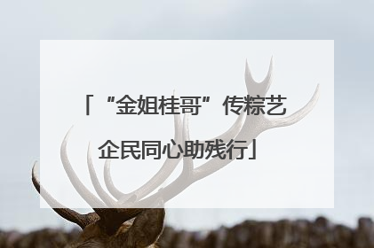 “金姐桂哥”传粽艺 企民同心助残行