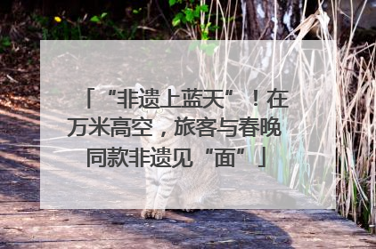 “非遗上蓝天”！在万米高空，旅客与春晚同款非遗见“面”