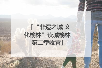 “非遗之城 文化榆林”读城榆林第二季收官
