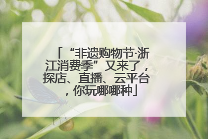 “非遗购物节·浙江消费季”又来了，探店、直播、云平台，你玩哪哪种
