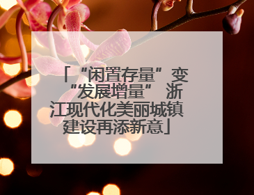 “闲置存量”变“发展增量” 浙江现代化美丽城镇建设再添新意