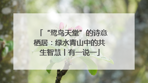 “鹭鸟天堂”的诗意栖居：绿水青山中的共生智慧丨有一说一