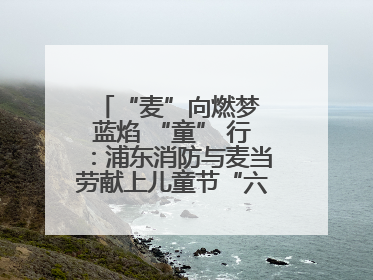 “麦”向燃梦 蓝焰 “童” 行：浦东消防与麦当劳献上儿童节“六一”礼