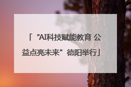 “AI科技赋能教育 公益点亮未来”德阳举行
