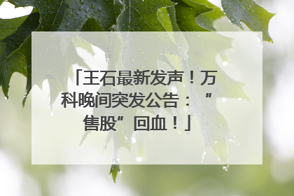 王石最新发声！万科晚间突发公告：“售股”回血！