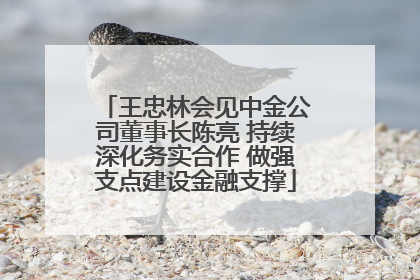 王忠林会见中金公司董事长陈亮 持续深化务实合作 做强支点建设金融支撑