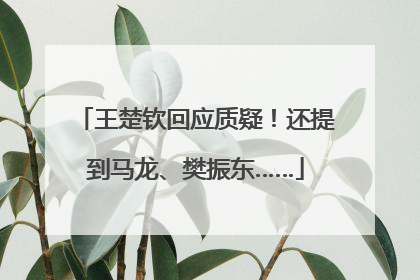 王楚钦回应质疑！还提到马龙、樊振东……