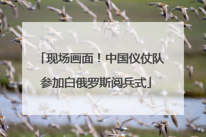 现场画面！中国仪仗队参加白俄罗斯阅兵式