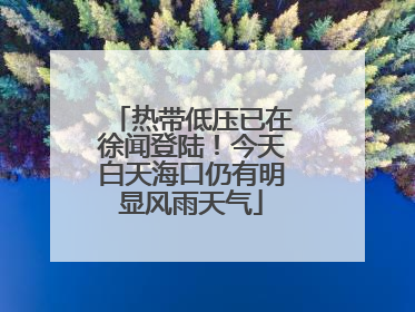 热带低压已在徐闻登陆！今天白天海口仍有明显风雨天气