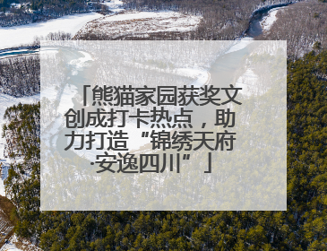 熊猫家园获奖文创成打卡热点，助力打造“锦绣天府·安逸四川”
