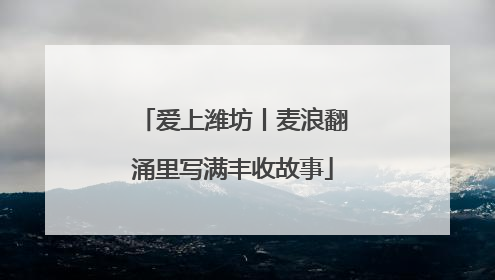 爱上潍坊丨麦浪翻涌里写满丰收故事