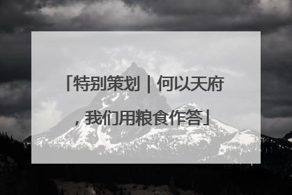 特别策划｜何以天府，我们用粮食作答