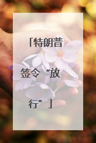 特朗普签令“放行”