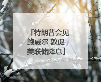 特朗普会见鲍威尔 敦促美联储降息