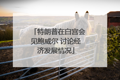 特朗普在白宫会见鲍威尔 讨论经济发展情况