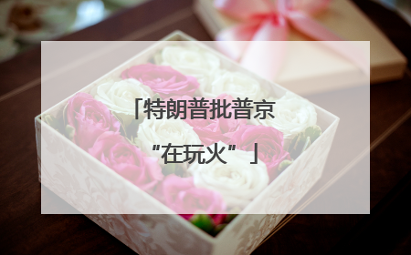 特朗普批普京“在玩火”