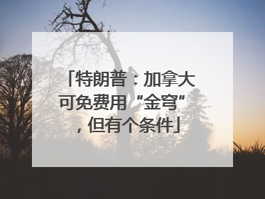 特朗普：加拿大可免费用“金穹”，但有个条件