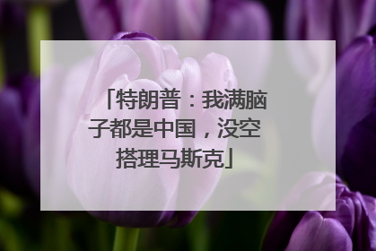 特朗普：我满脑子都是中国，没空搭理马斯克