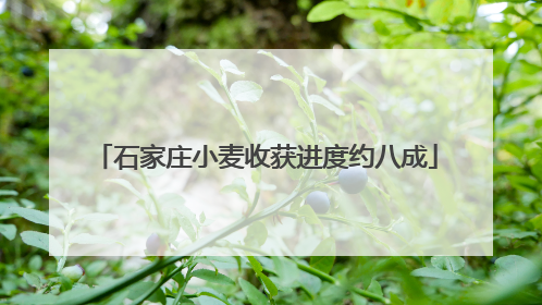 石家庄小麦收获进度约八成