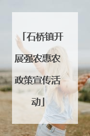 石桥镇开展强农惠农政策宣传活动