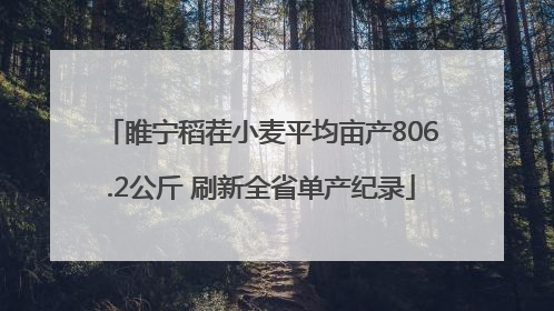 睢宁稻茬小麦平均亩产806.2公斤 刷新全省单产纪录