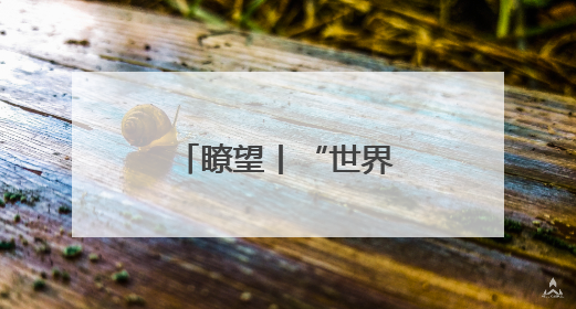 瞭望丨“世界镁都”治乱记