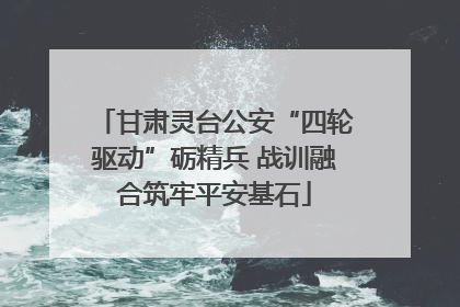 甘肃灵台公安“四轮驱动”砺精兵 战训融合筑牢平安基石