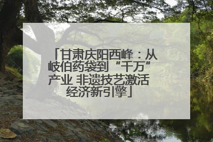 甘肃庆阳西峰：从岐伯药袋到“千万”产业 非遗技艺激活经济新引擎