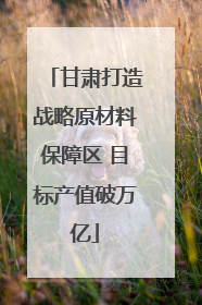 甘肃打造战略原材料保障区 目标产值破万亿