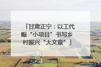 甘肃正宁：以工代赈“小项目”书写乡村振兴“大文章”