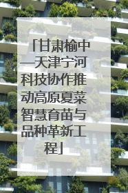 甘肃榆中—天津宁河科技协作推动高原夏菜智慧育苗与品种革新工程