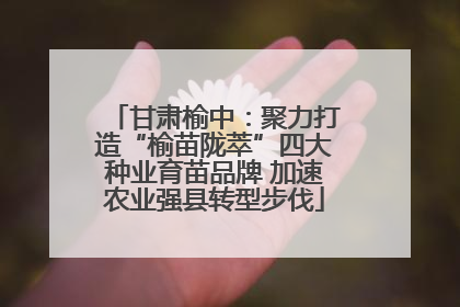 甘肃榆中：聚力打造“榆苗陇萃”四大种业育苗品牌 加速农业强县转型步伐