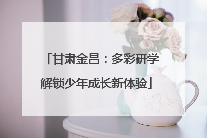 甘肃金昌：多彩研学解锁少年成长新体验