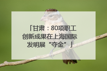 甘肃：80项职工创新成果在上海国际发明展“夺金”