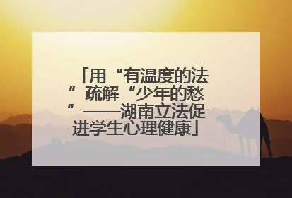 用“有温度的法”疏解“少年的愁”——湖南立法促进学生心理健康