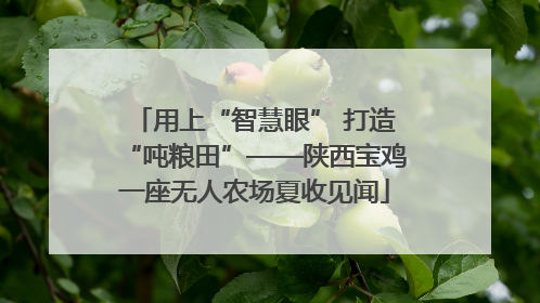 用上“智慧眼” 打造“吨粮田”——陕西宝鸡一座无人农场夏收见闻