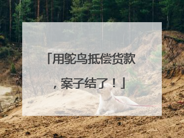 用鸵鸟抵偿货款，案子结了！