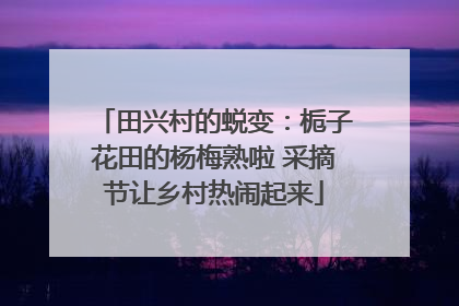 田兴村的蜕变：栀子花田的杨梅熟啦 采摘节让乡村热闹起来