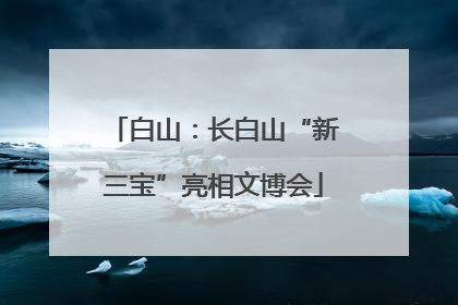 白山：长白山“新三宝”亮相文博会
