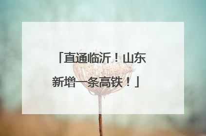 直通临沂！山东新增一条高铁！