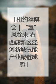 相约丝博会｜“氢”风徐来 看西咸新区泾河新城氢能产业聚链成势