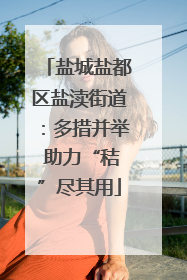 盐城盐都区盐渎街道：多措并举 助力“秸”尽其用
