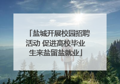 盐城开展校园招聘活动 促进高校毕业生来盐留盐就业