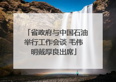 省政府与中国石油举行工作会谈 毛伟明戴厚良出席