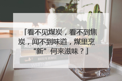 看不见煤炭，看不到焦炭，闻不到味道，煤里烹“新”何来滋味？
