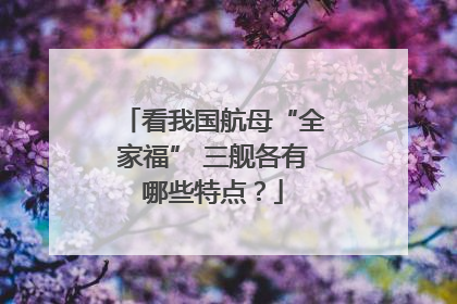 看我国航母“全家福” 三舰各有哪些特点？
