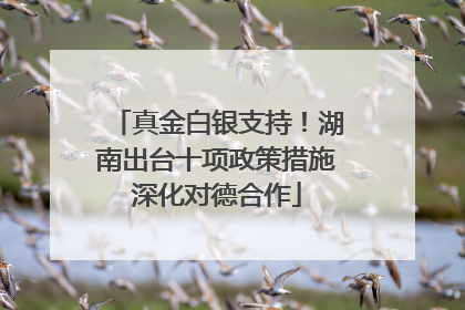 真金白银支持！湖南出台十项政策措施深化对德合作
