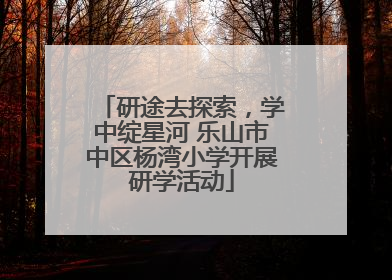 研途去探索，学中绽星河 乐山市中区杨湾小学开展研学活动