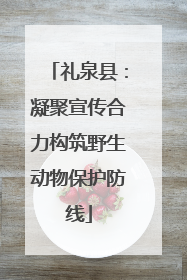 礼泉县：凝聚宣传合力构筑野生动物保护防线