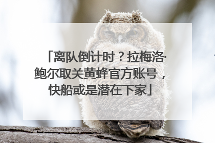 离队倒计时？拉梅洛·鲍尔取关黄蜂官方账号，快船或是潜在下家